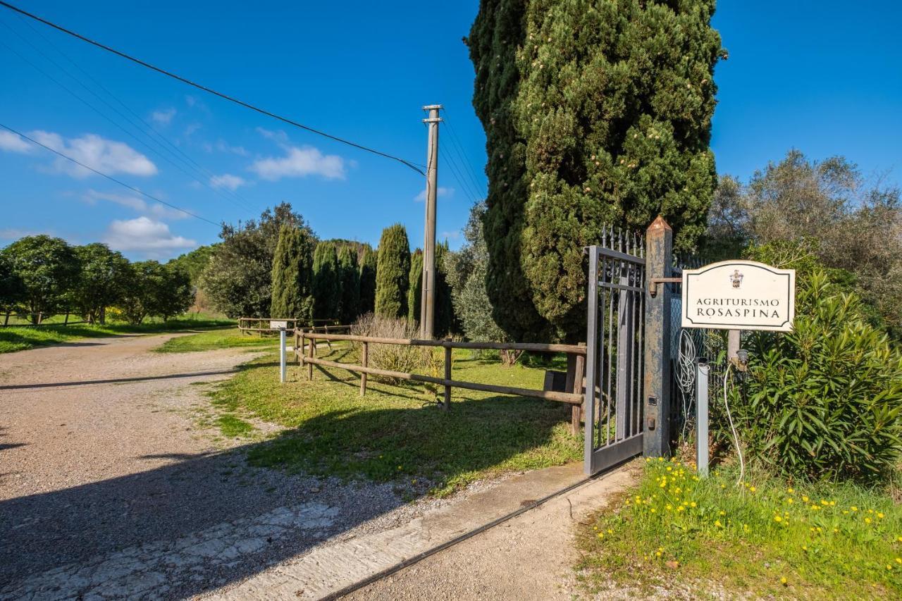 Rosaspina - Appartamento 3 Capalbio Luaran gambar